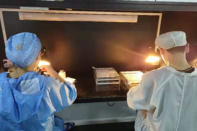 Glass Fabrication Service